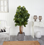 5’ Fiddle Leaf Fig Artificial Tree Marie Antonette 