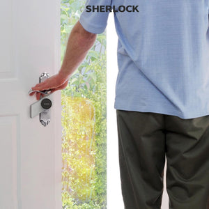 Sherlock Fingerprint + Password Smart Door Lock Marie Antonette 