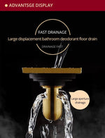 Drains Chrome Brass Bathroom Linear Shower 8*20cm Floor Drain Wire Strainer Art Carved Cover Waste Drain Bathroom Fitting B8029 Marie Antonette 