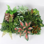 Green wall Marie Antonette H 40x 60cm (15.75" x 23.62" inches) 