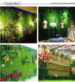Green wall Marie Antonette 