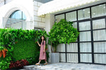 Green wall Marie Antonette 